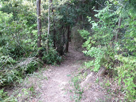 20140426hike (252)